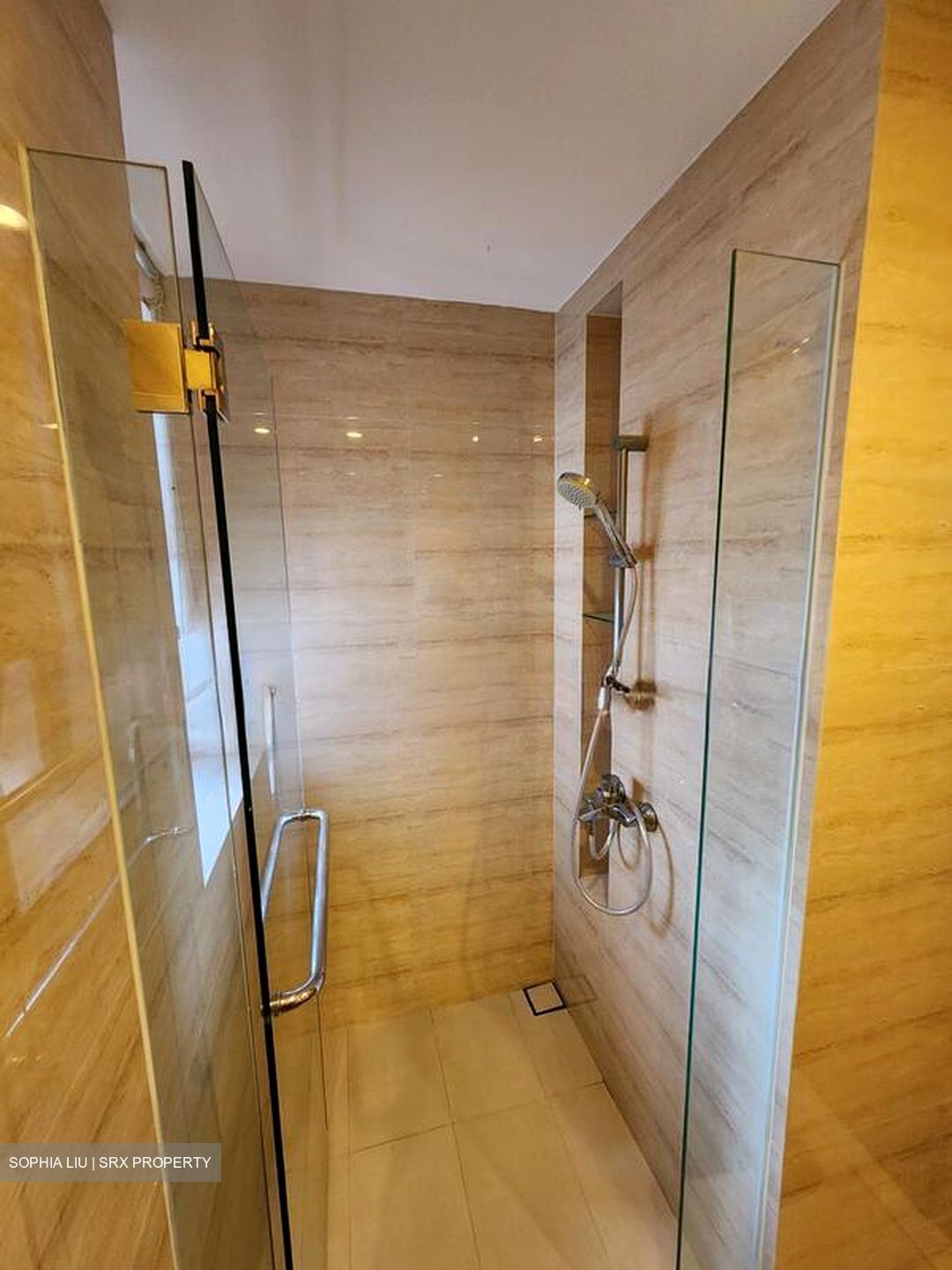 The Palette (D18), Condominium #593087311